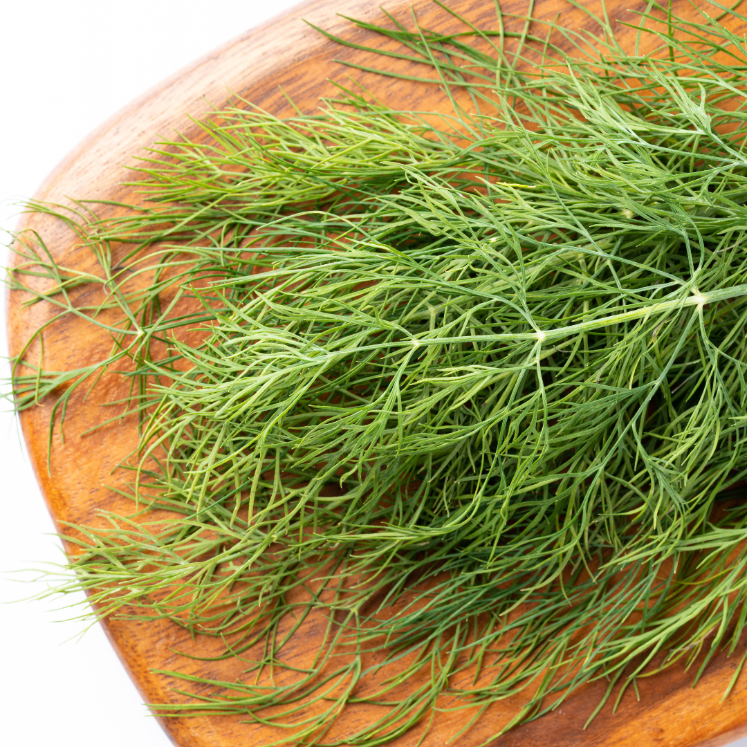 Ekologisk Dill - Bouquet