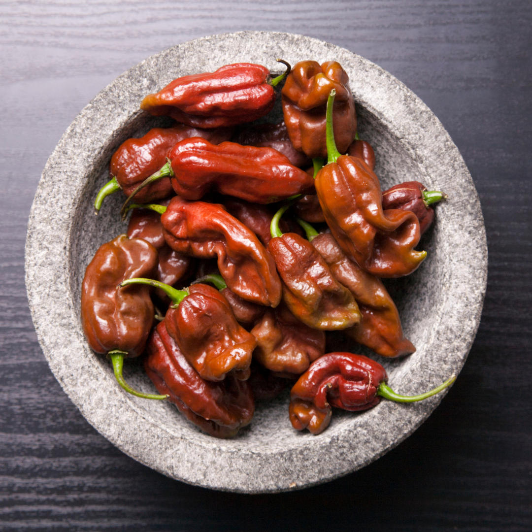 Havannapeppar - Habanero Chocolate
