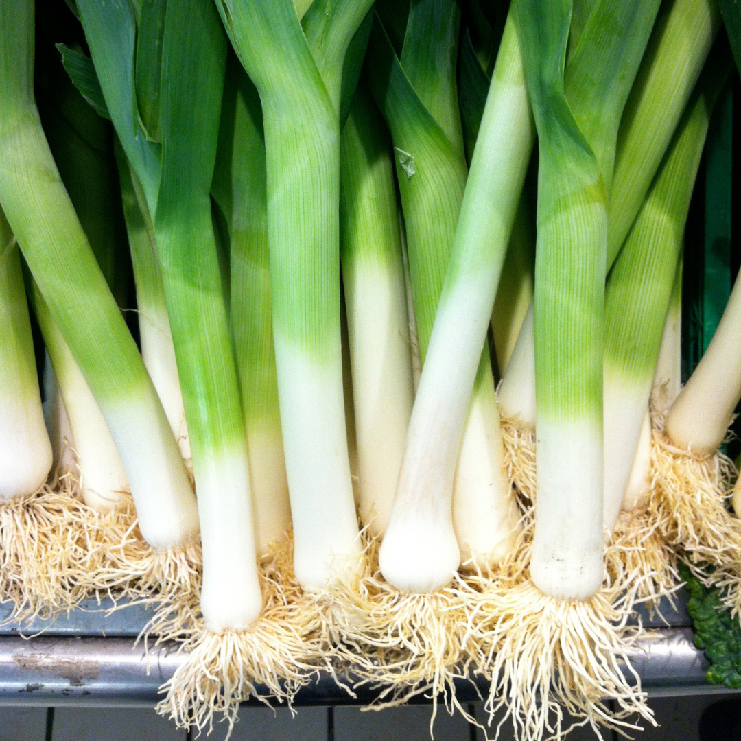 Ekologisk Purjolök - Hilari