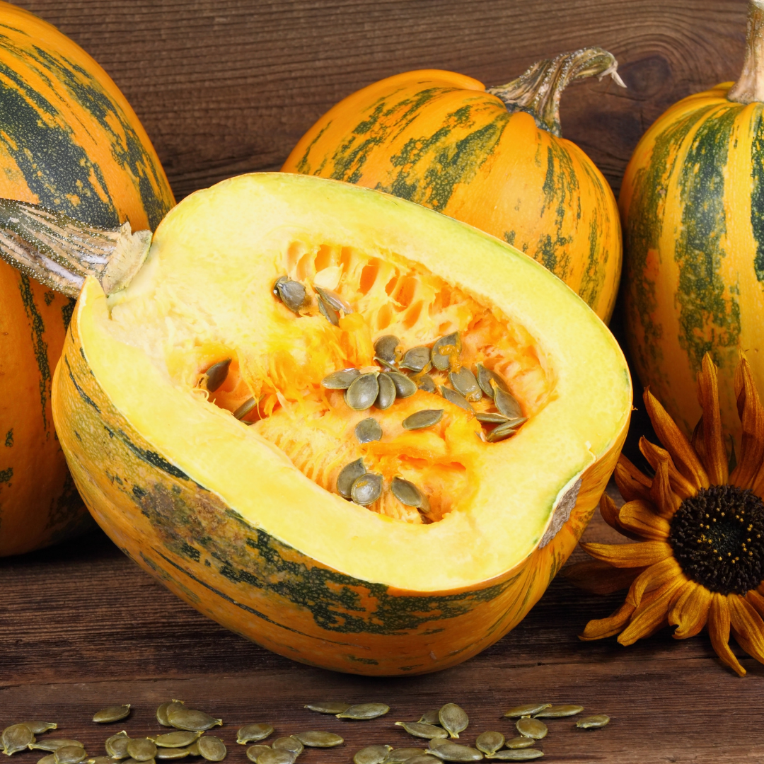 Ekologisk Nakenfröpumpa - Retzer Gold