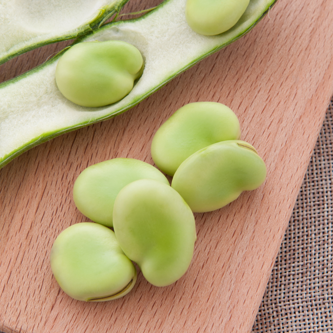 Bondböna - Hangdown Leidse - Kultursort