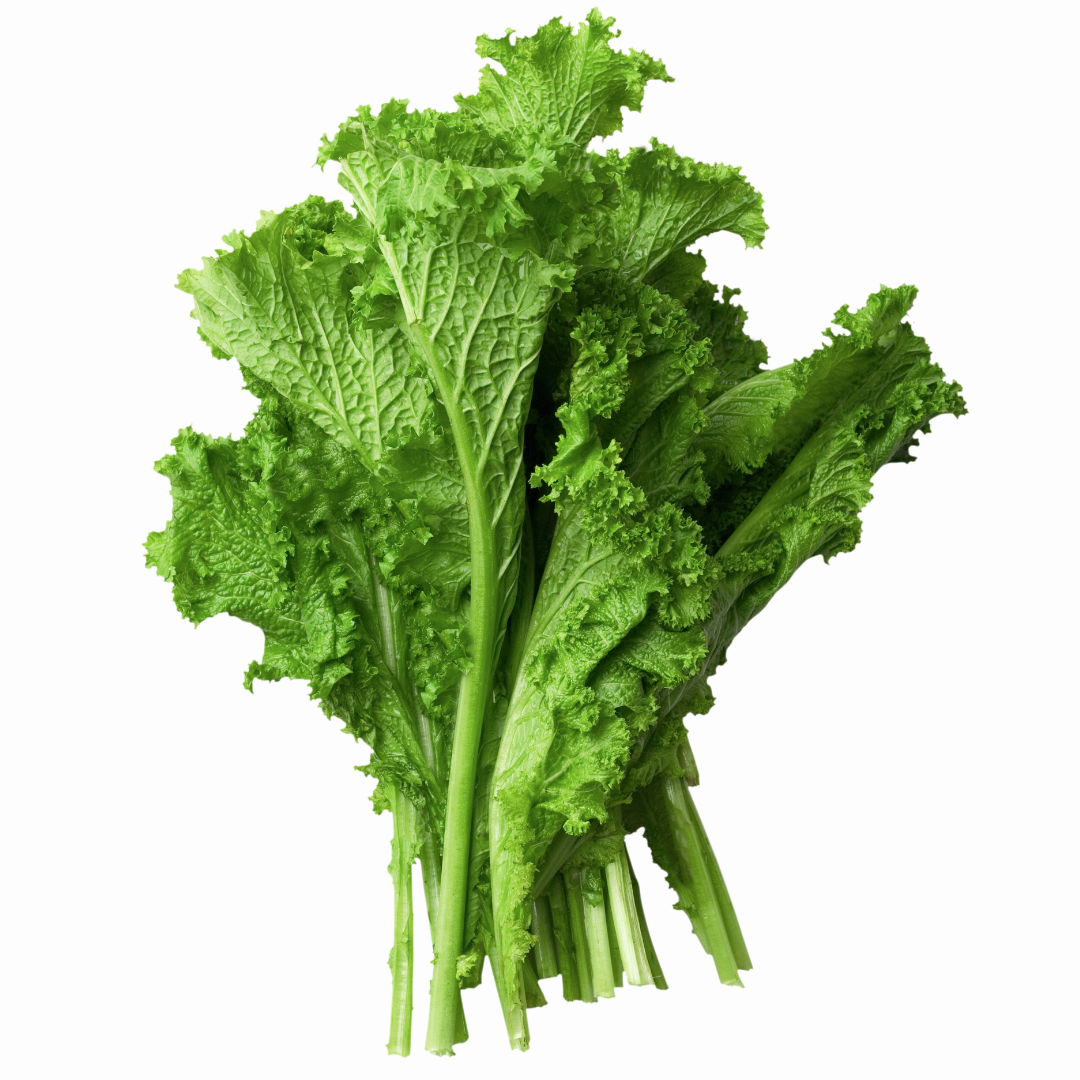 Asiatisk Kål - Green Wave