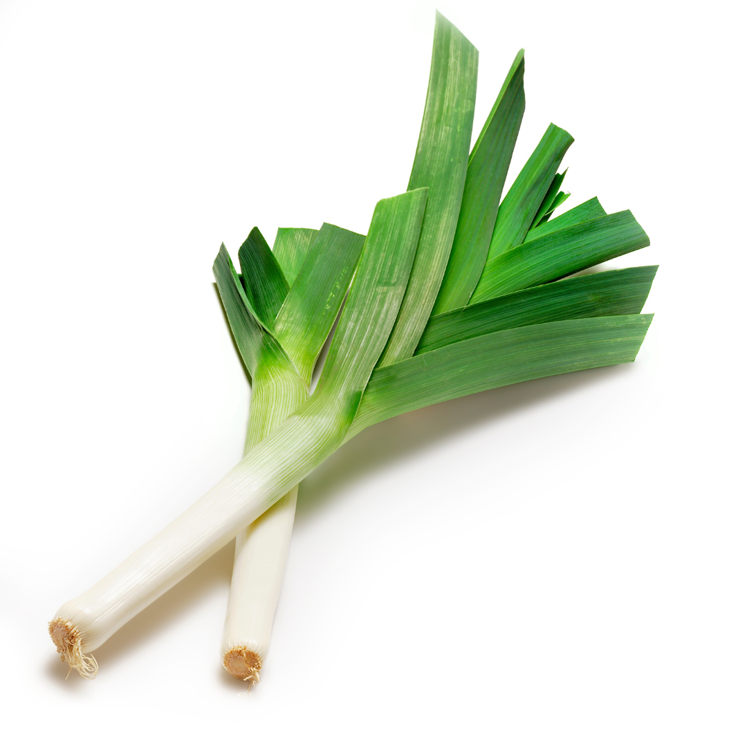 Ekologisk Purjolök - Haldor