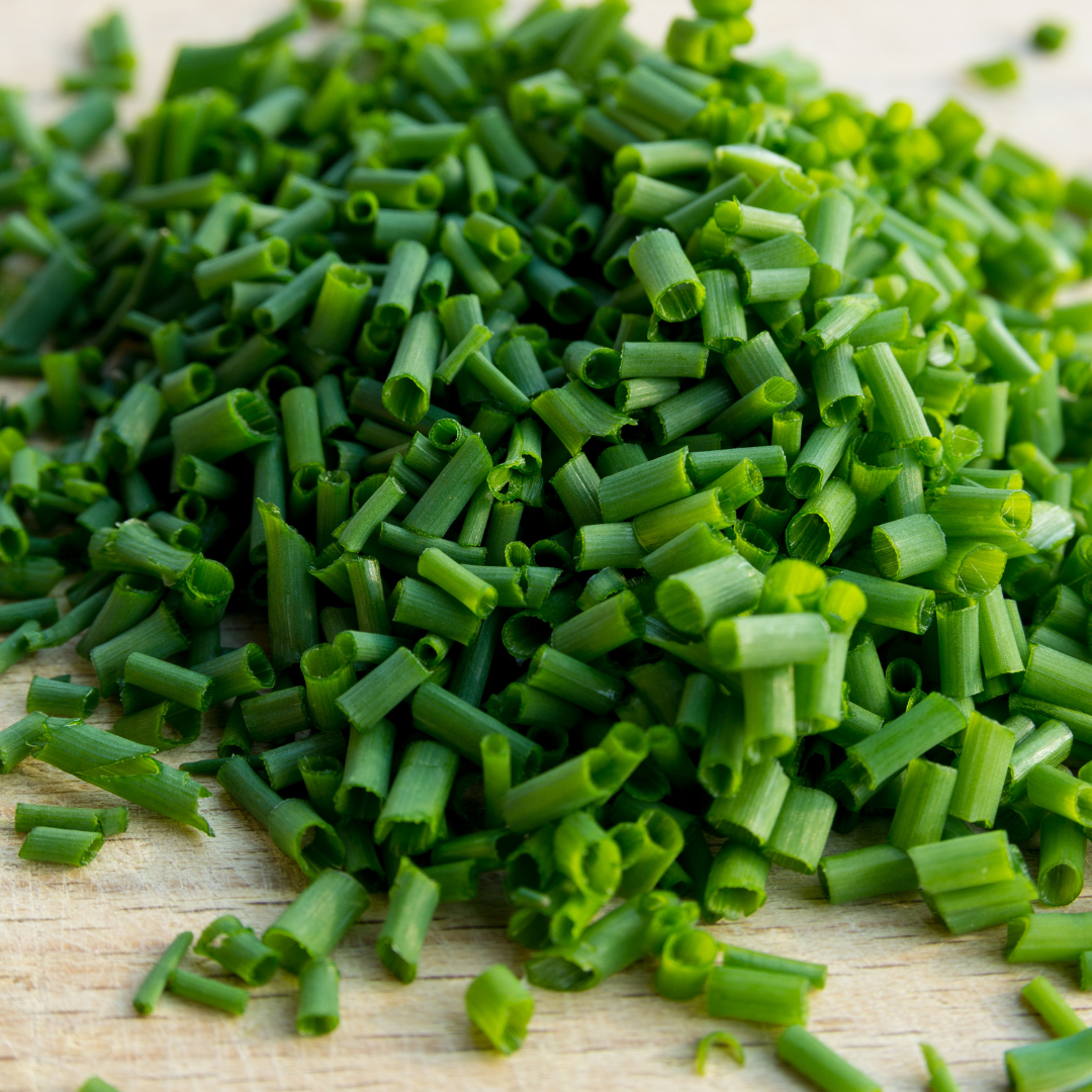 Ekologisk Gräslök - Medium Leaf