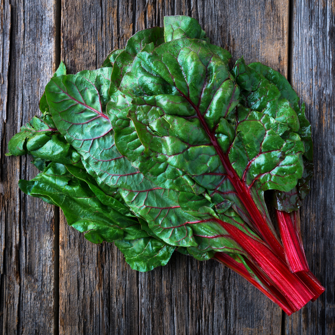 Ekologisk Mangold - Rhubarb Chard - Kultursort