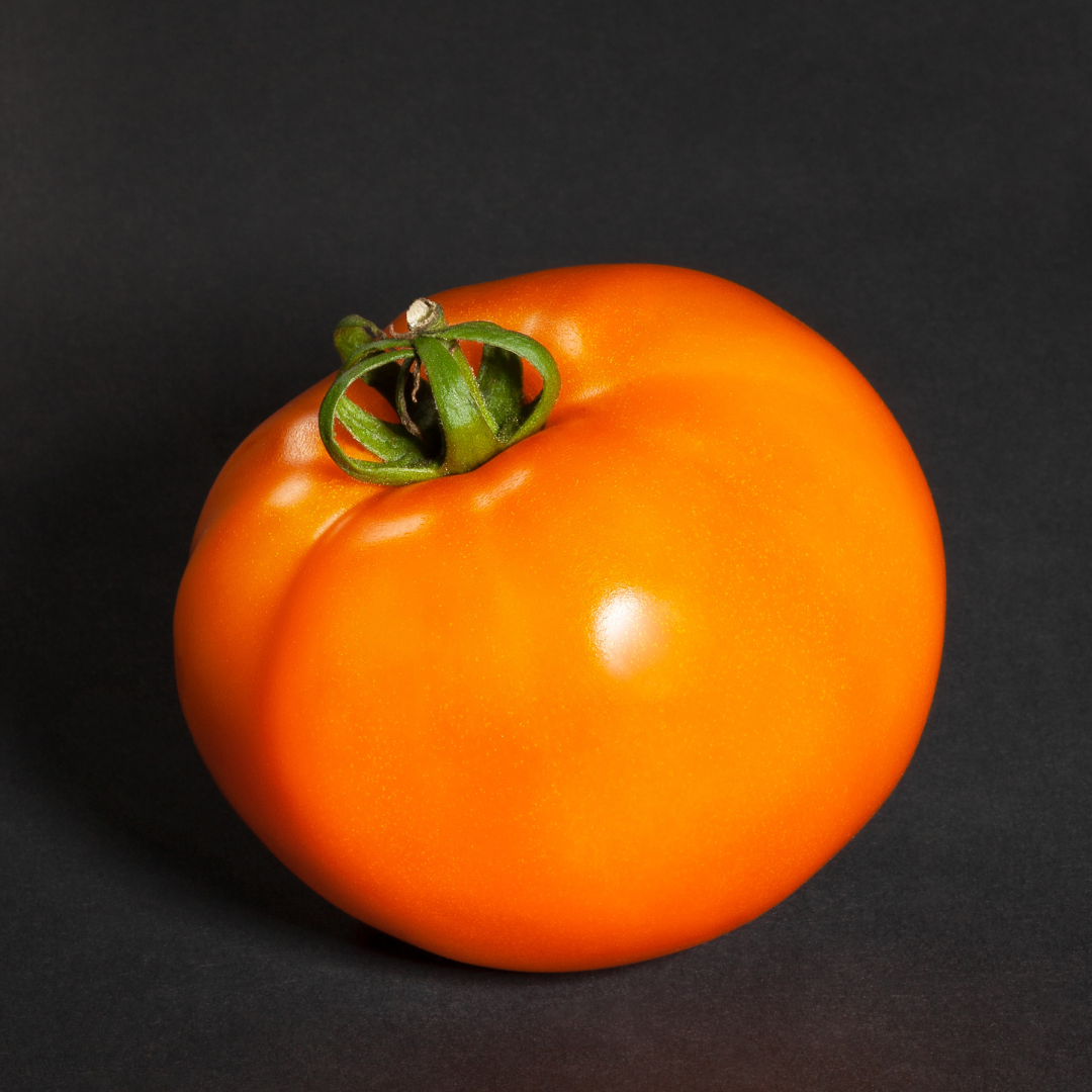 Tomat - Orange Queen