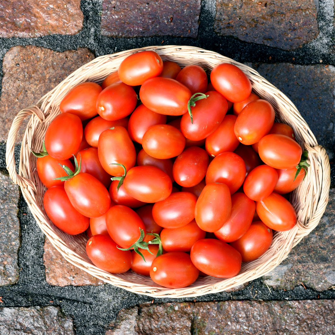 Ekologisk Plommontomat - Celsior