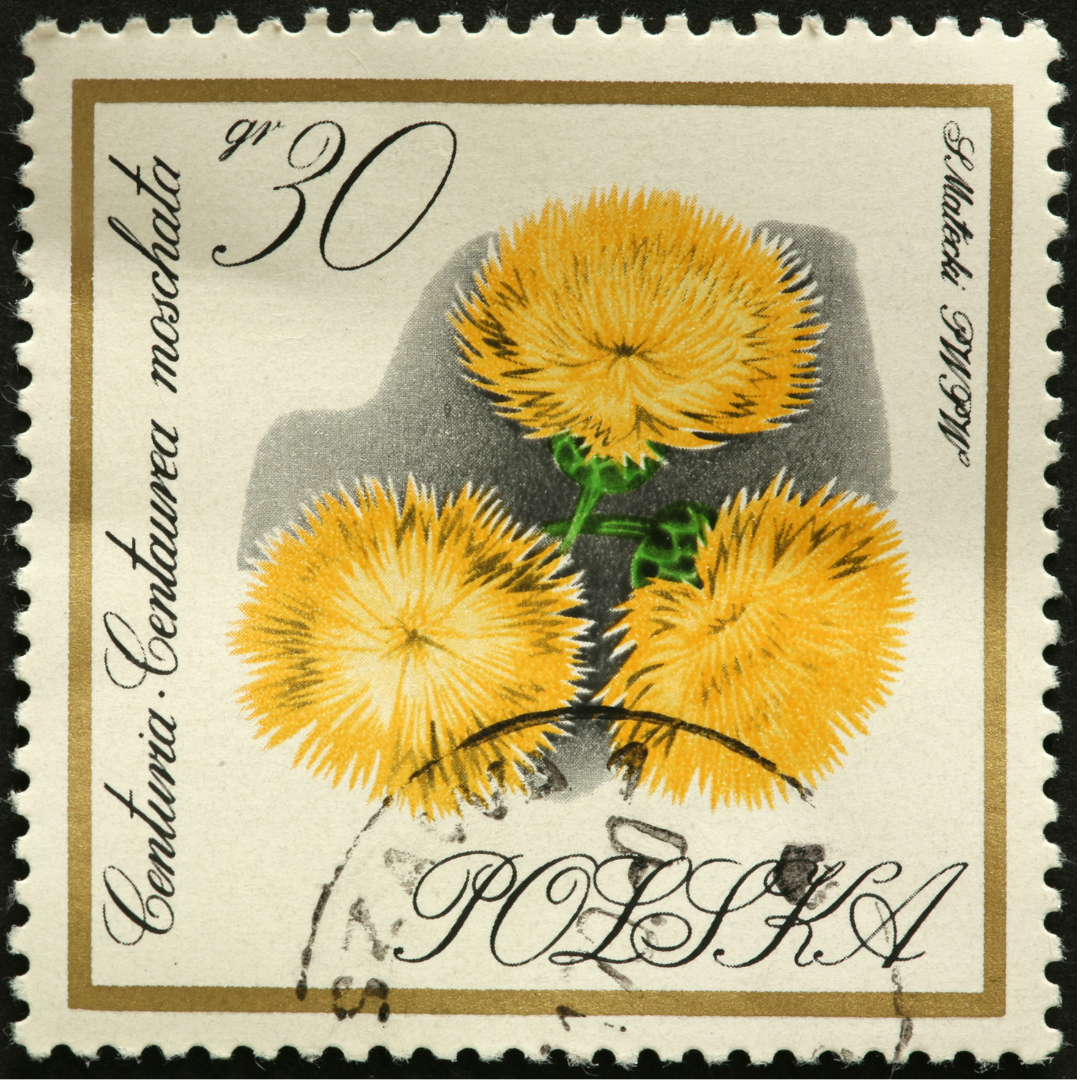 Doftklint - Yellow