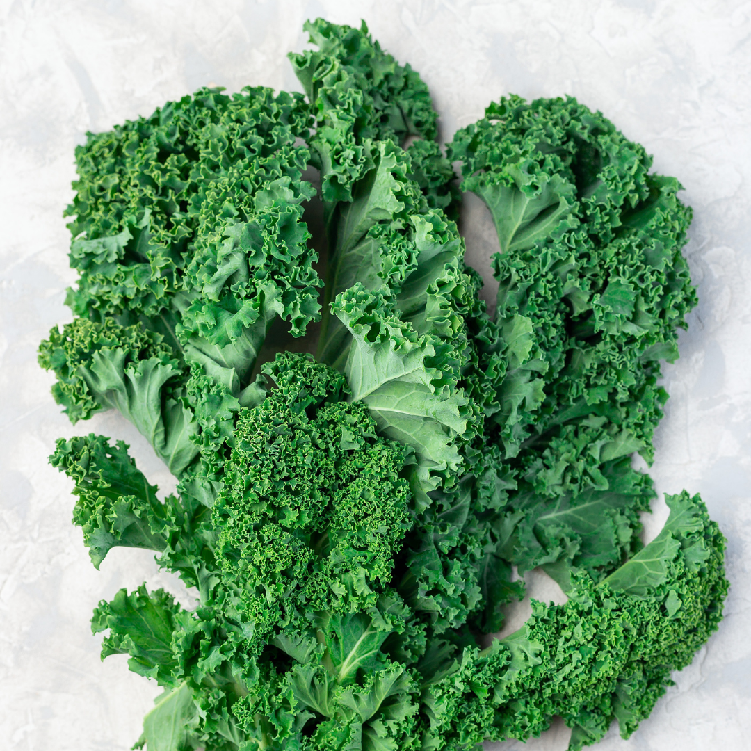 Ekologisk Grönkål - Westland Winter