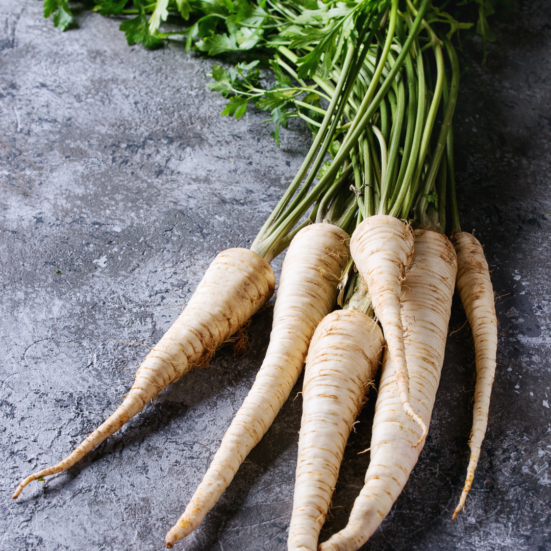 Palsternacka - White Gem