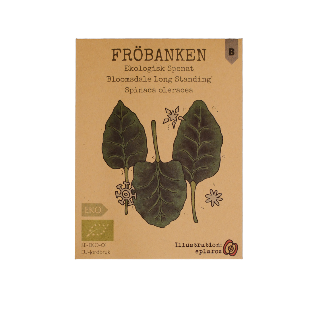 Ekologisk Spenat - Bloomsdale Long Standing
