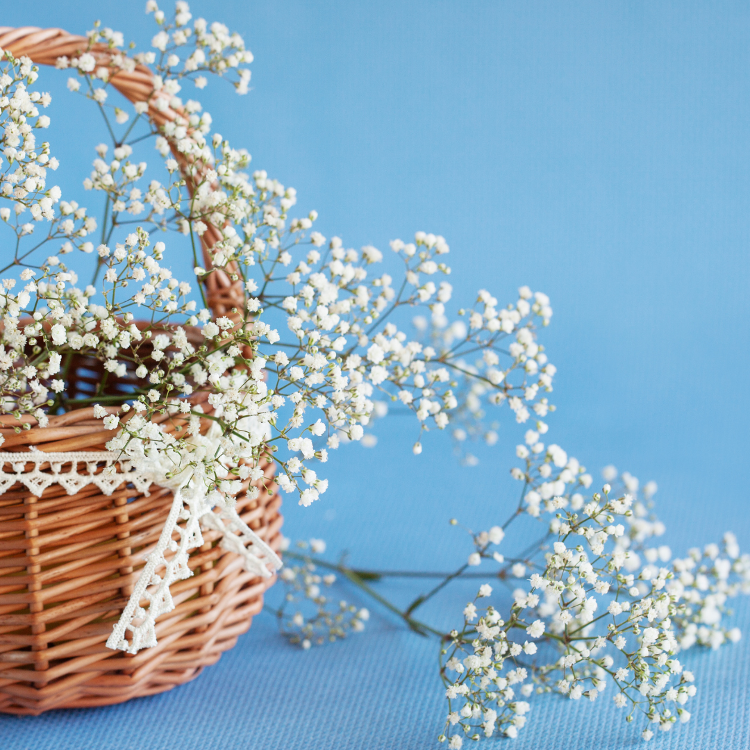 Brudslöja - Single White