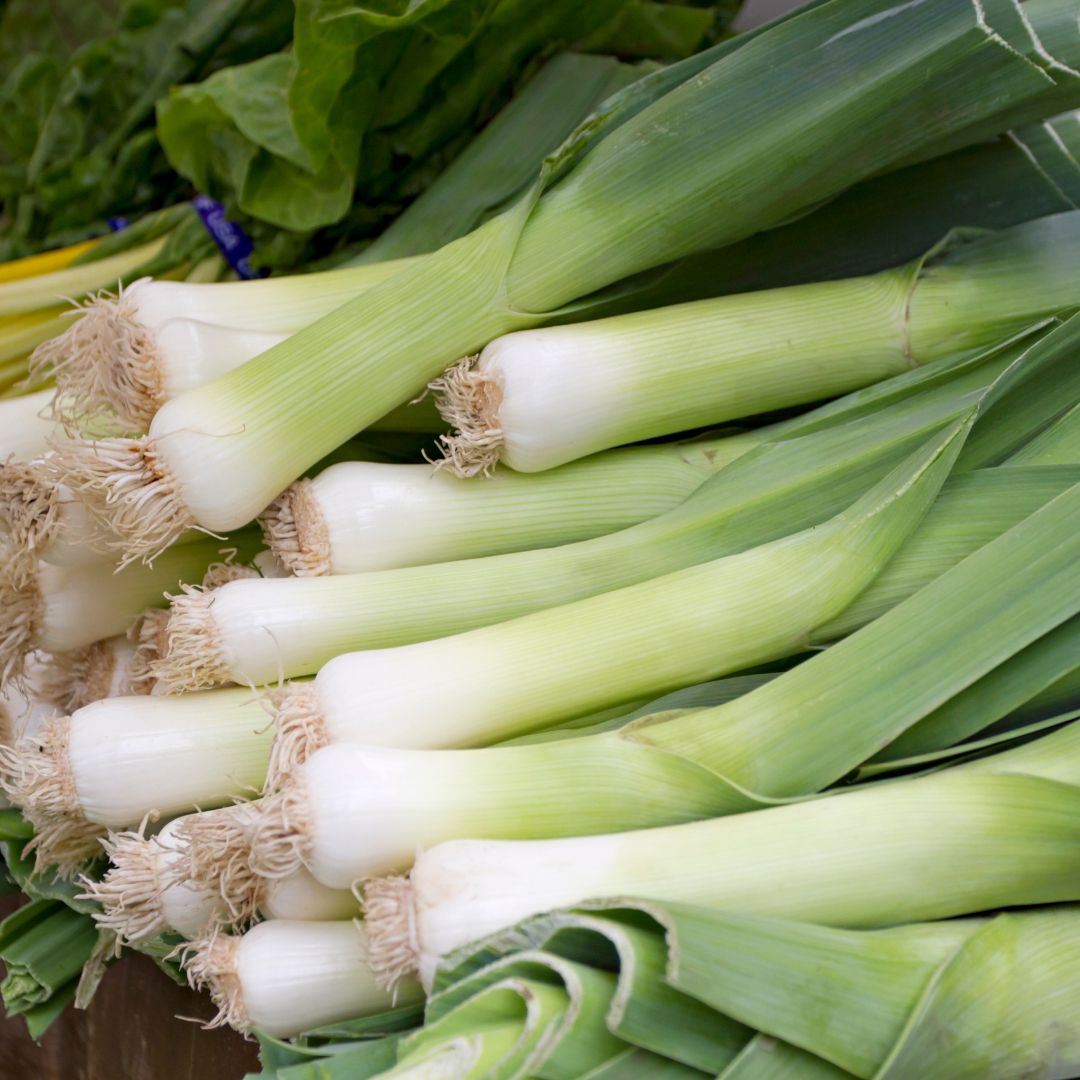 Purjolök - Winter Giant