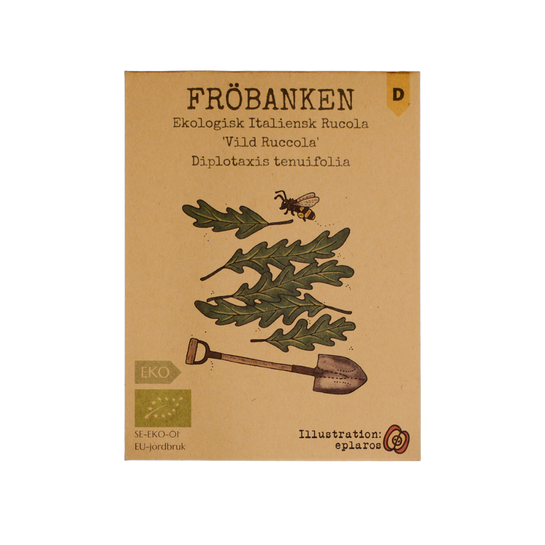 Ekologisk Italiensk Ruccola - Vild Rucola