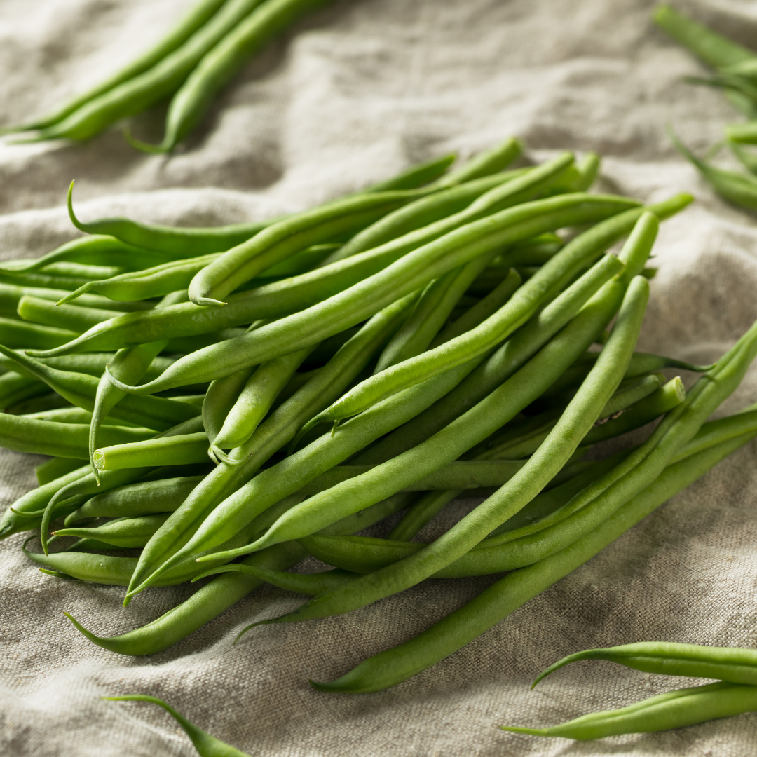 Dvärgbrytböna - Maxi