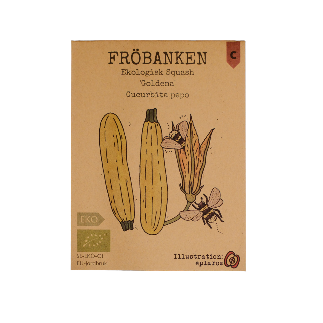 Ekologisk Squash - Goldena