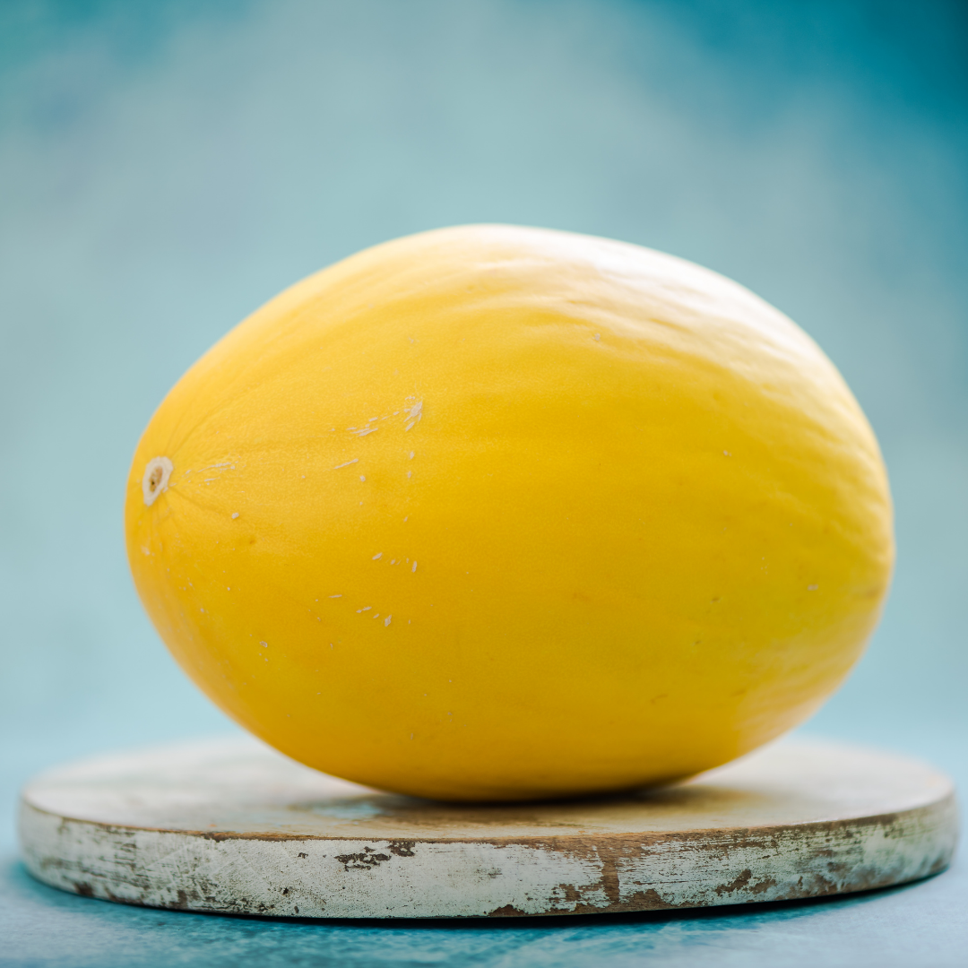 Honungsmelon - Yellow Canarian