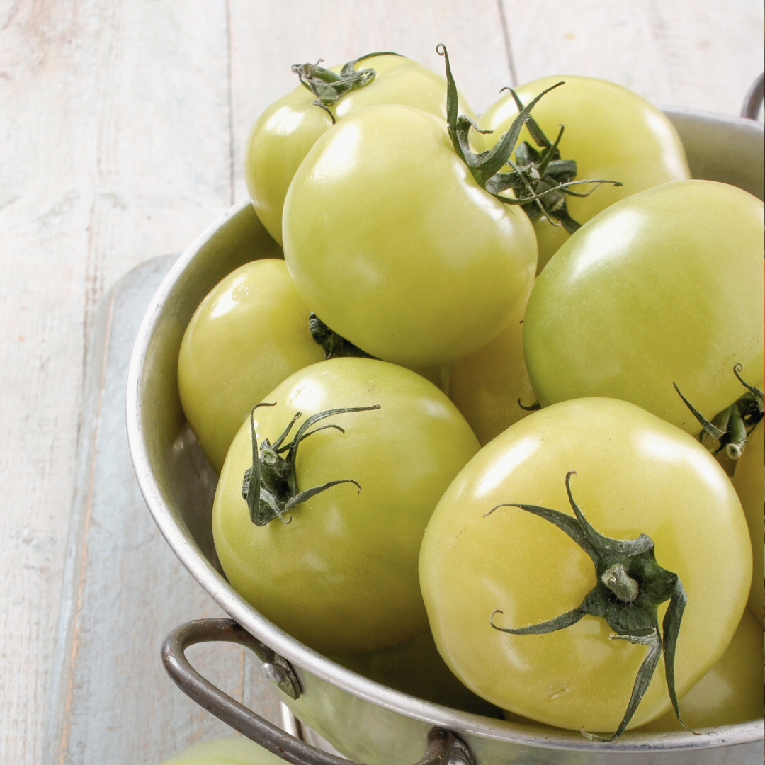 Ekologisk Tomat - White Sensation