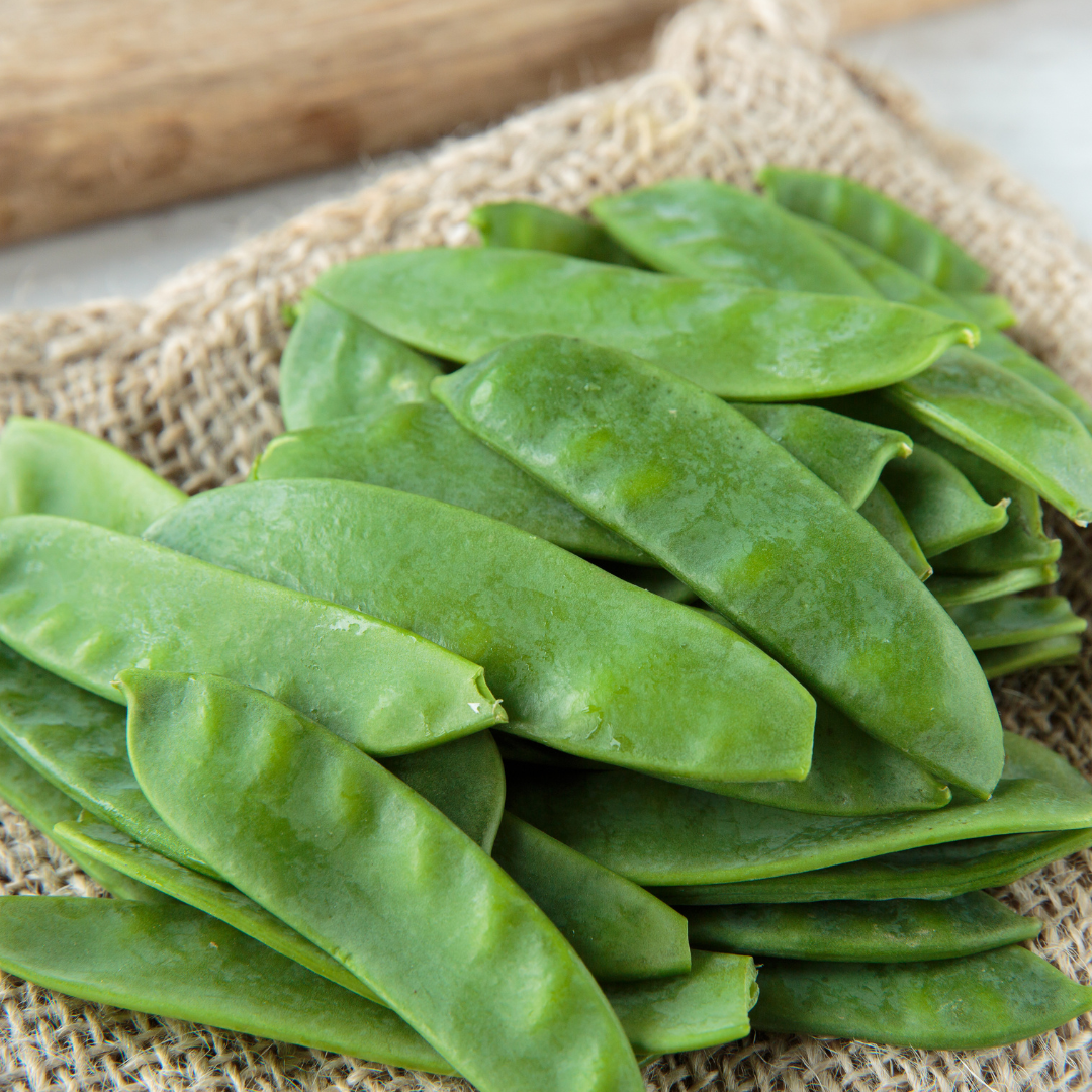 Ekologisk Sockerärt - Swiss Giants