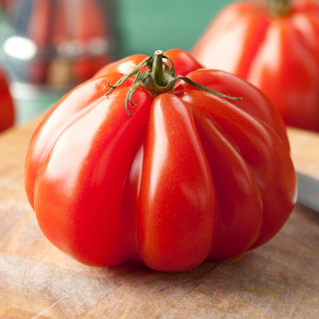 Ekologisk Bifftomat - Oxheart Coeur De Boeuf Albenga