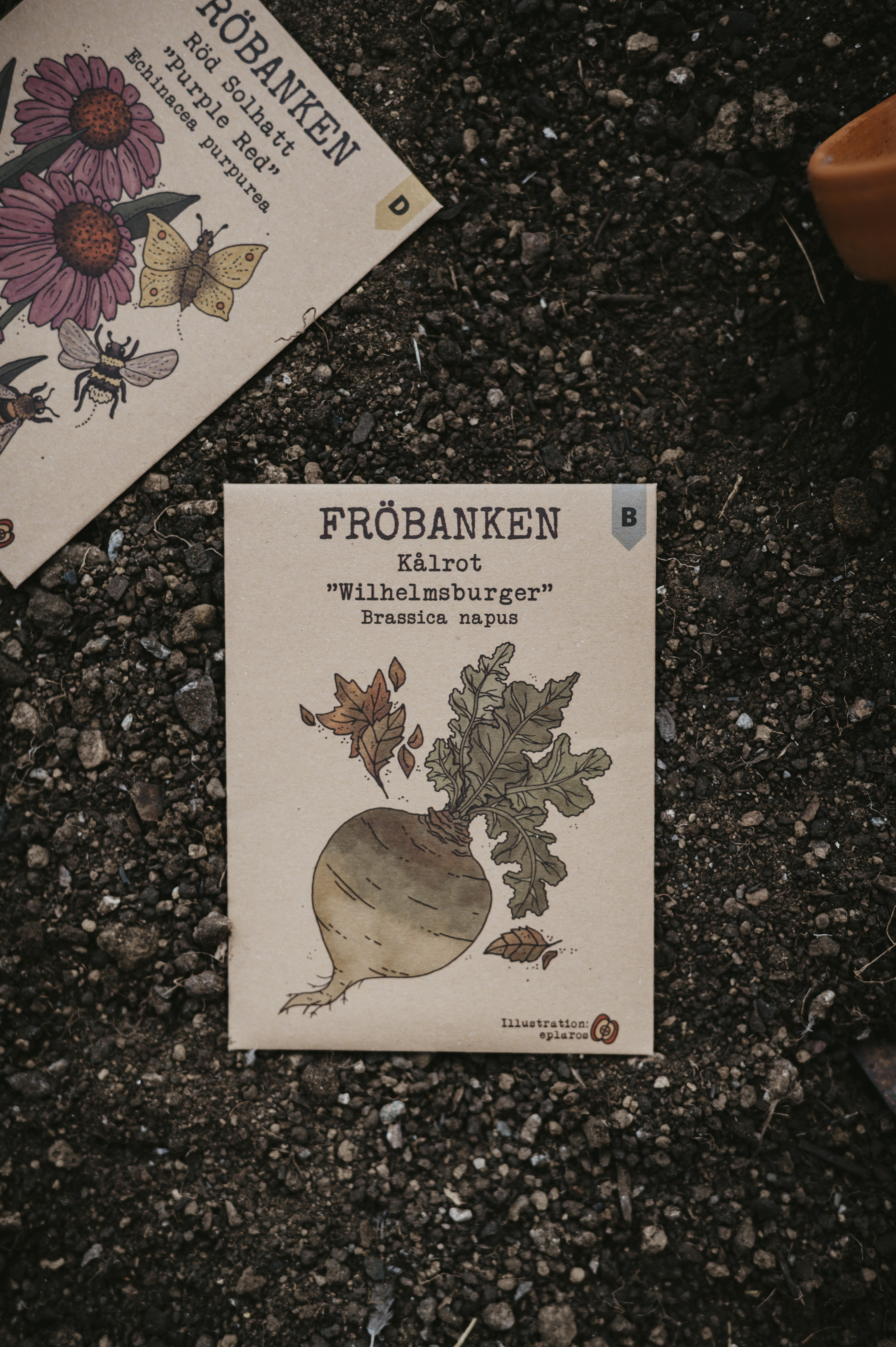 Kålrot - Wilhelmsburger