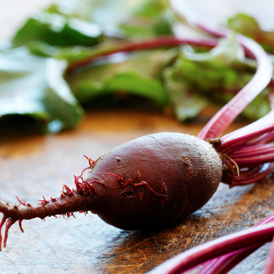 Ekologisk Rödbeta - Cylindra