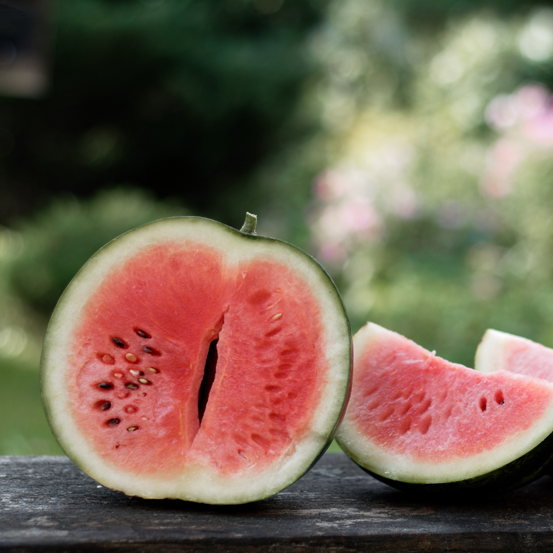 Ekologisk Vattenmelon - Sugar Baby - Minimelon