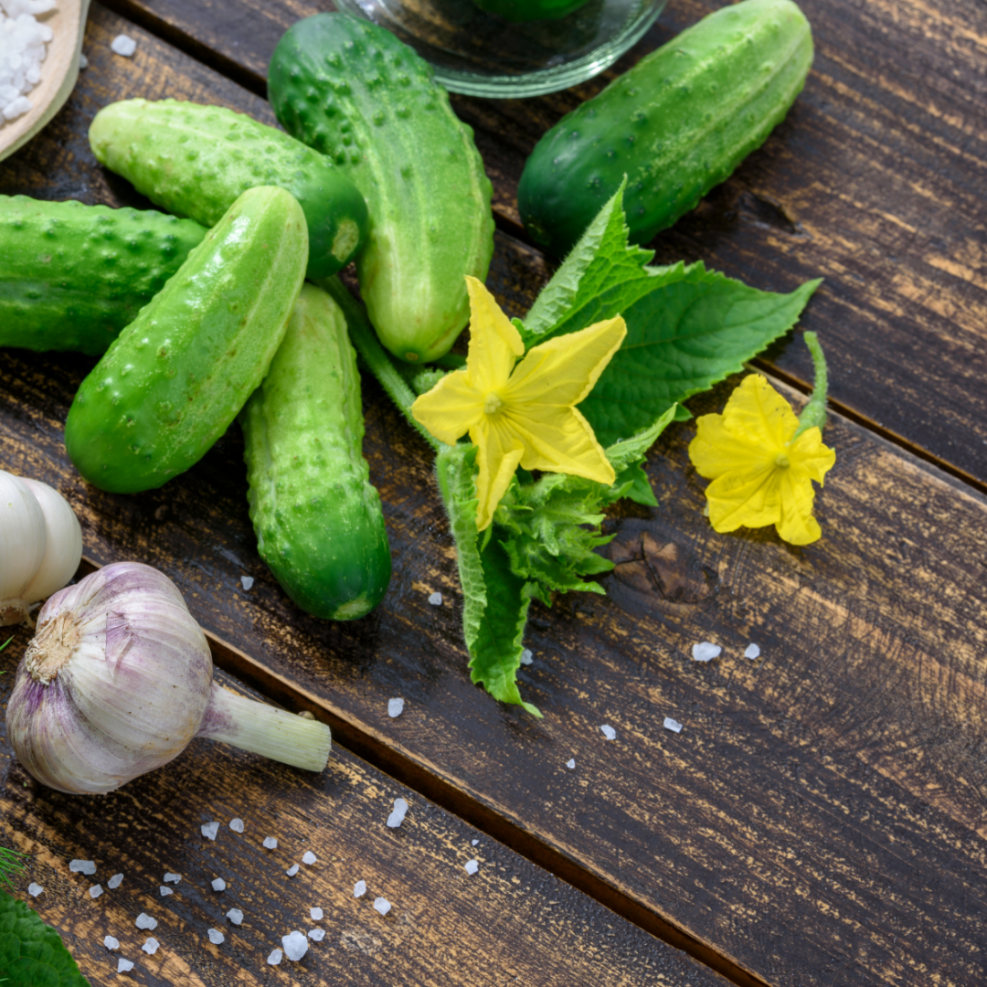 Druvgurka - Parisian Pickling