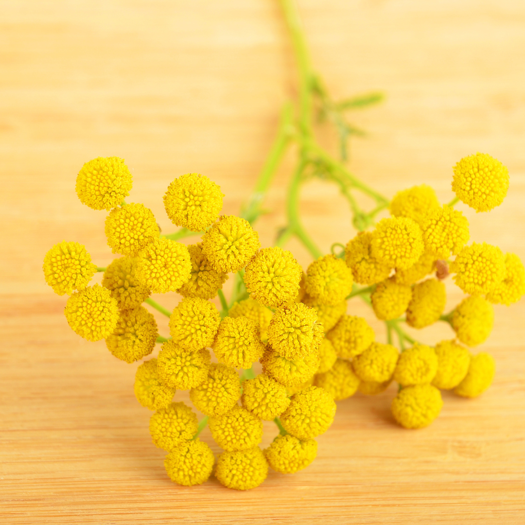 Mattram - Golden Ball