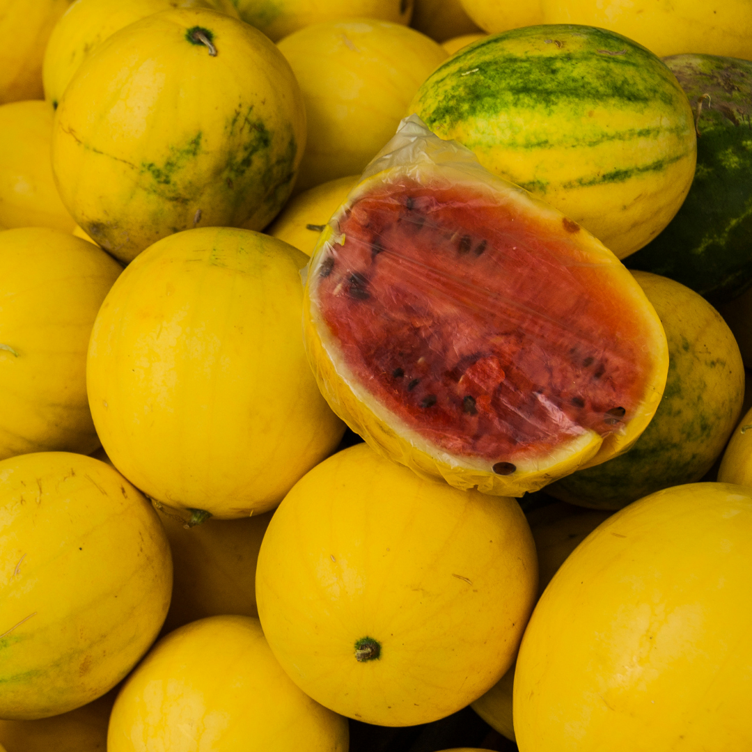 Vattenmelon - Zloto Wolicy F1