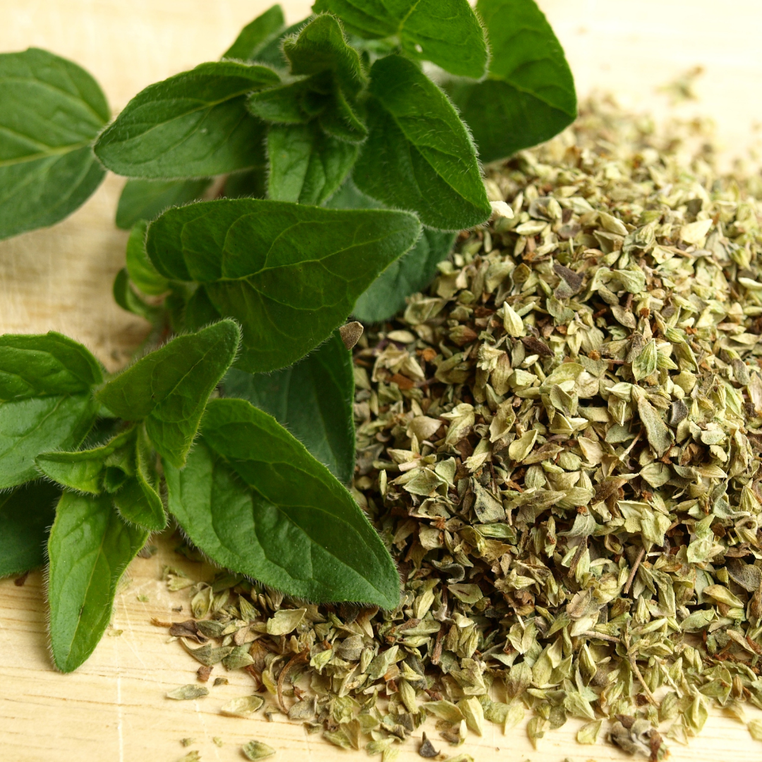 Ekologisk Grekisk Oregano - Greek