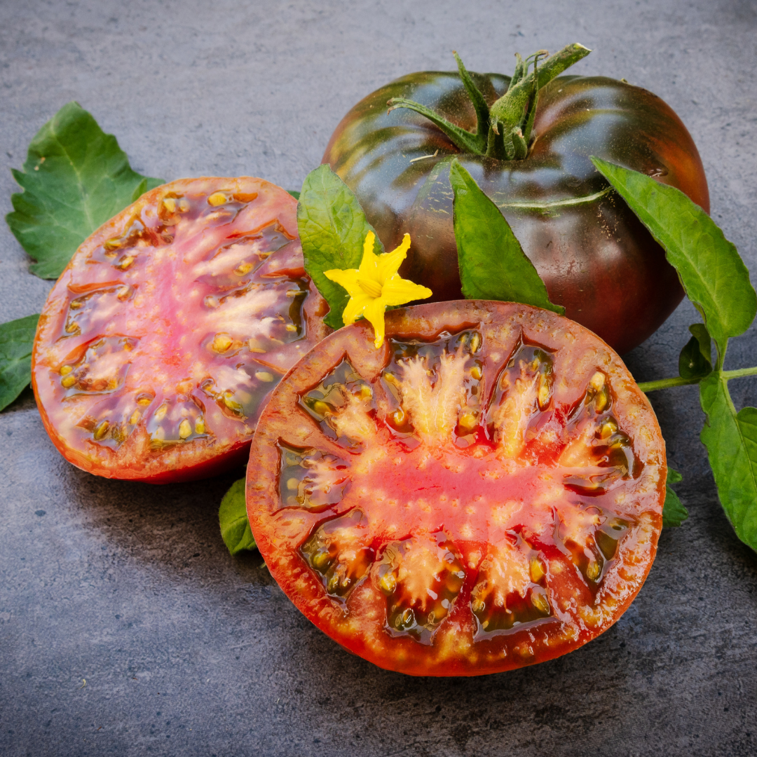 Ekologisk Bifftomat - Noire de Crimée