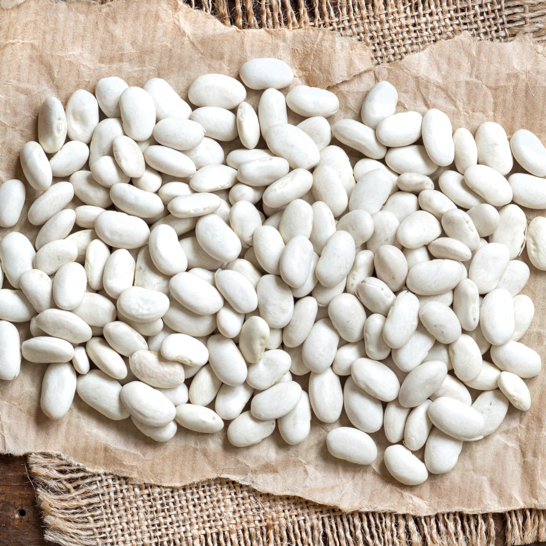 Rosenböna - Corona - Kultursort