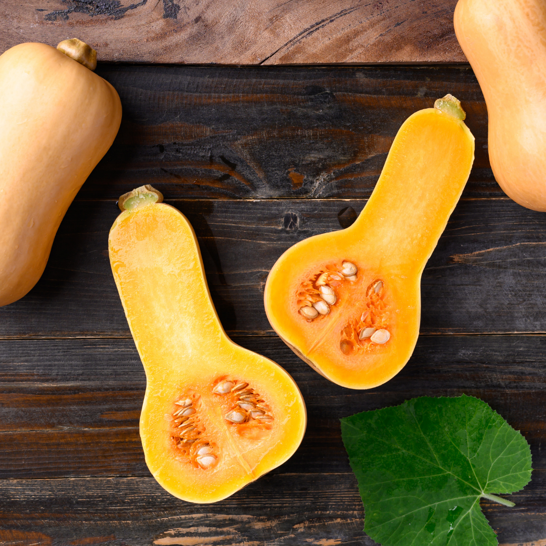 Myskpumpa - Mini Butternut - Minipumpa