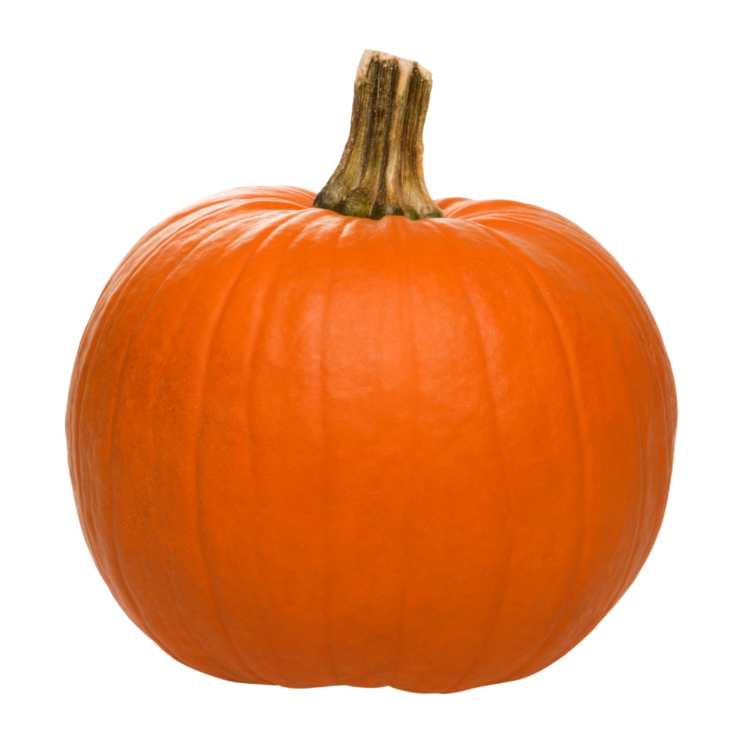 Pumpa - Howden
