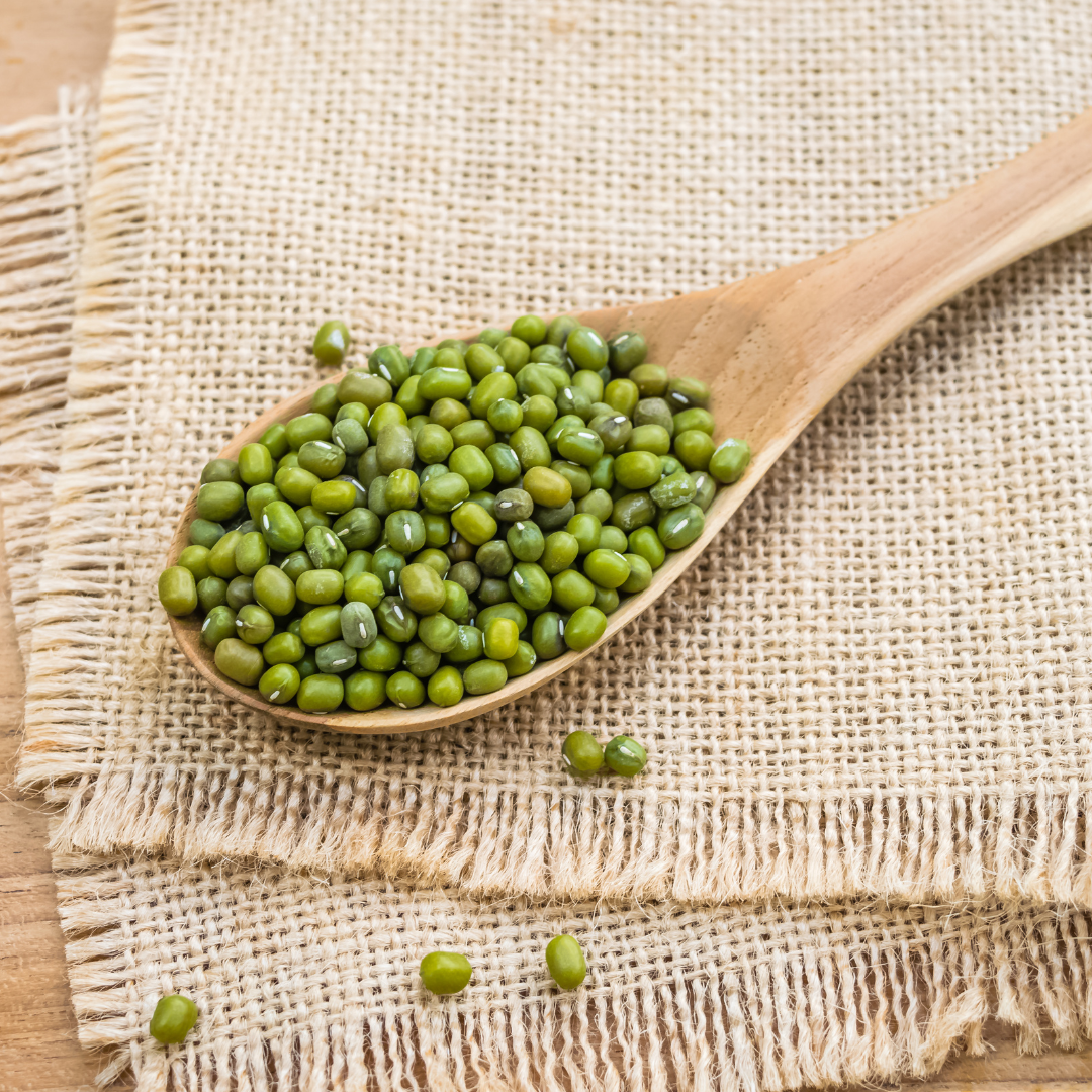 Ekologisk Microgreen - Mungböna - 7