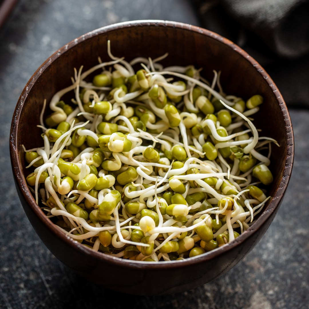 Ekologisk Microgreen - Mungböna - 5