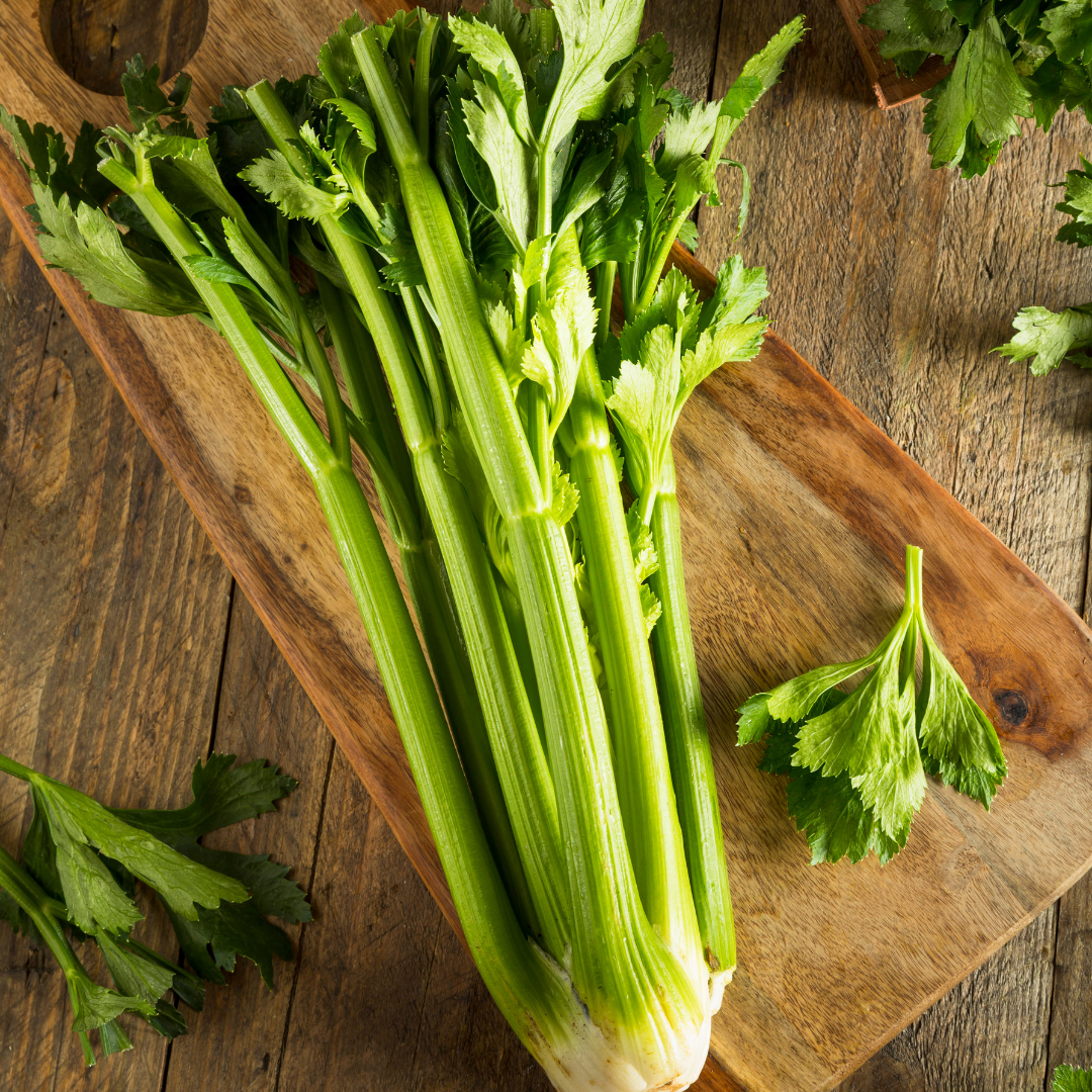 Stjälkselleri - Tall Utah 52 70 - Kultursort