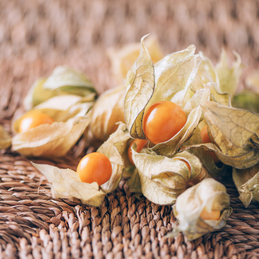 Kapkrusbär - Golden Berry