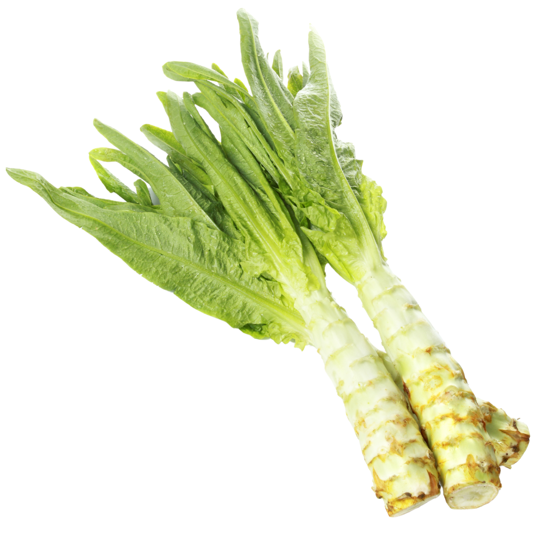 Sparrissallad - Celtuce - Senyohacu - Kultursort