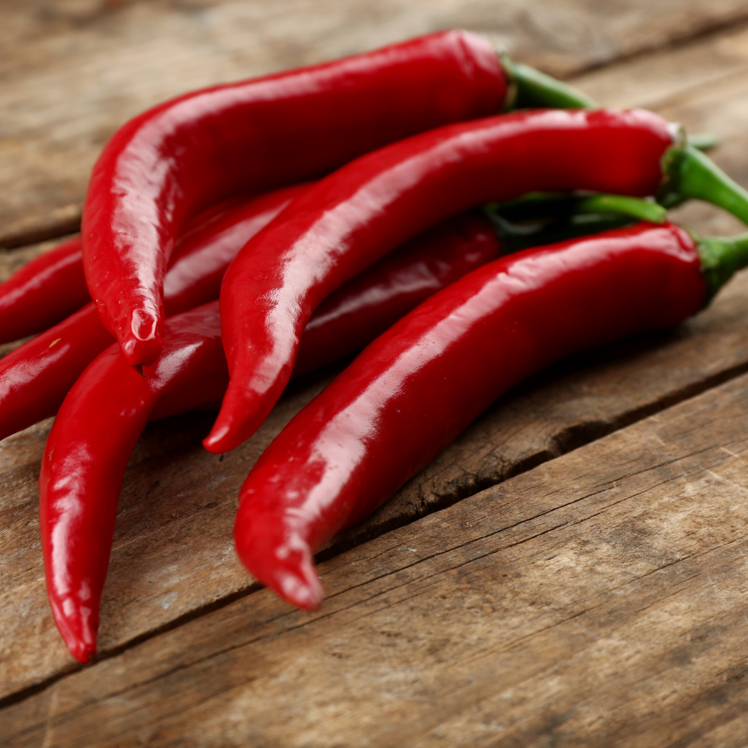 Ekologisk Chili - Carino Caliente