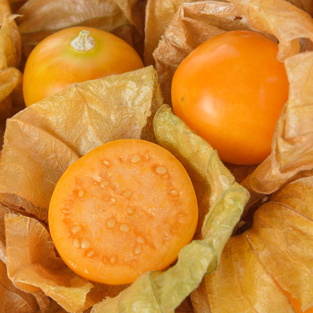 Ekologiskt Kapkrusbär - Tropicana