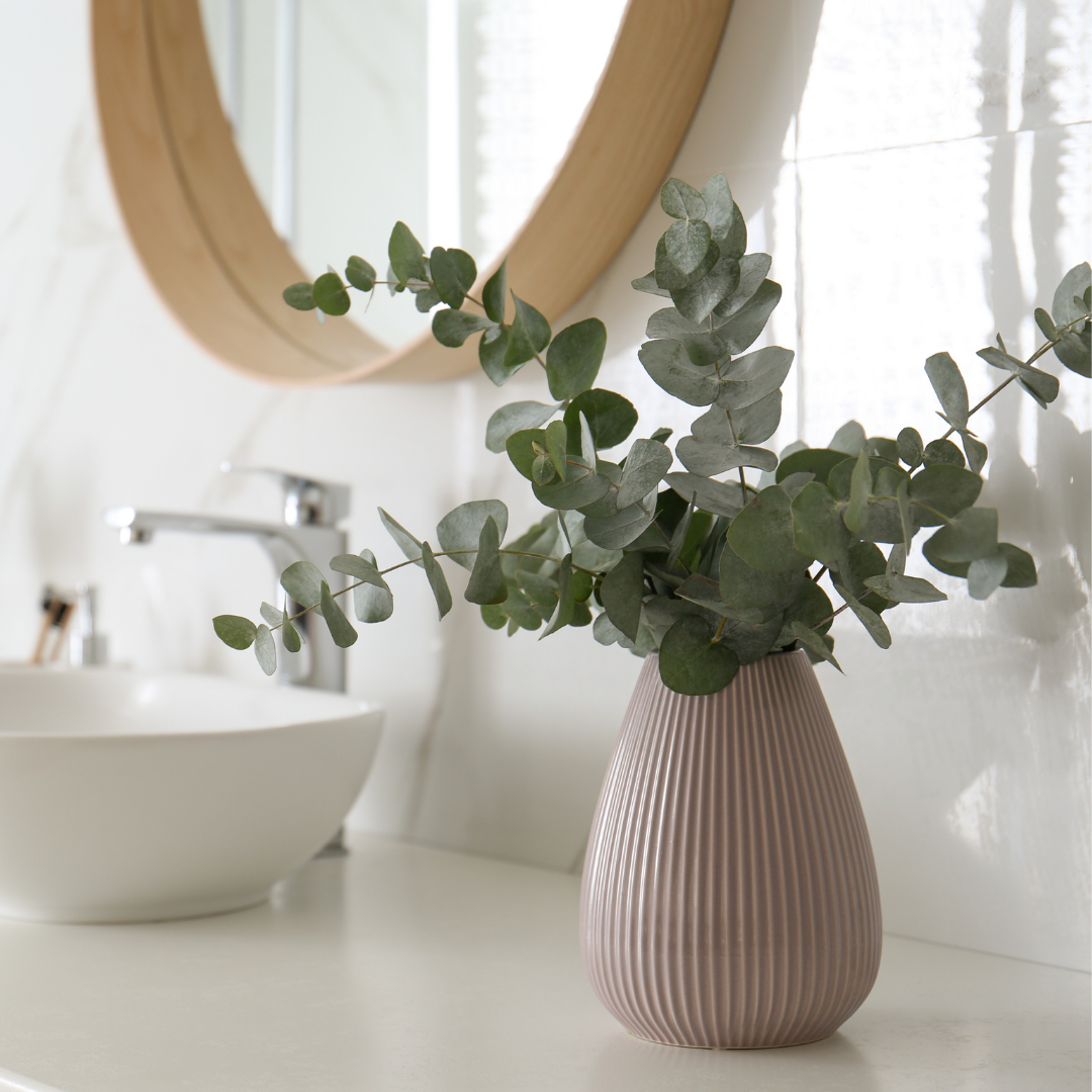 Eucalyptus - Baby Blue - 3