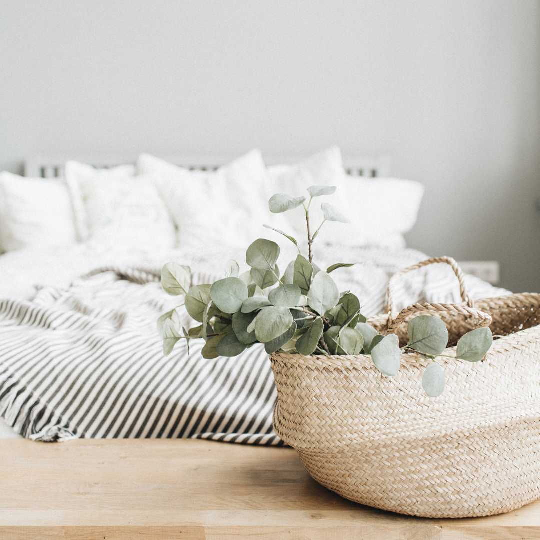 Eucalyptus - Baby Blue