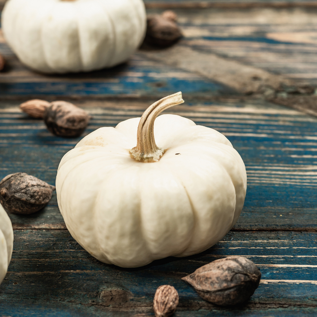 Minipumpa - Baby Boo