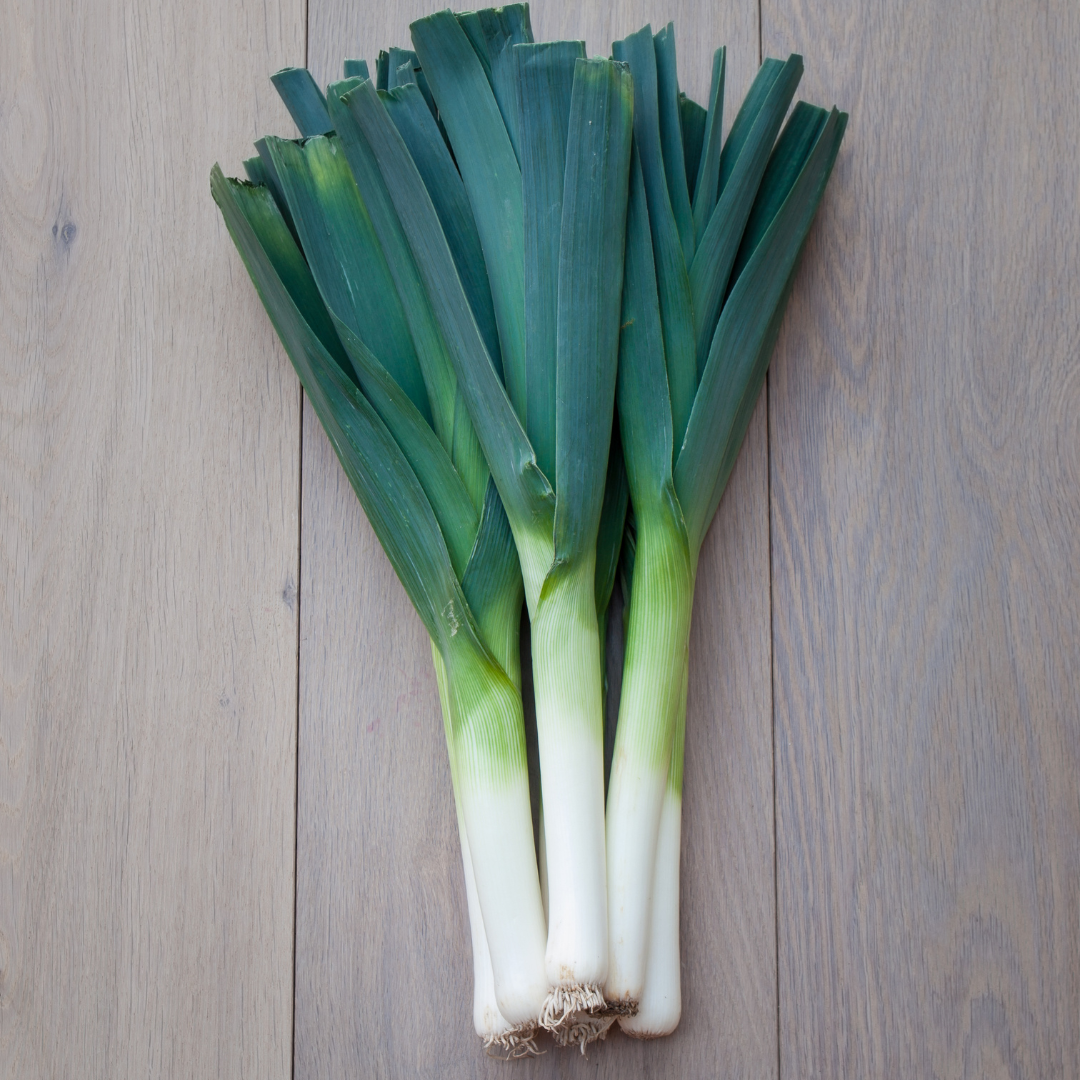 Purjolök - Blauwgroene Herfst