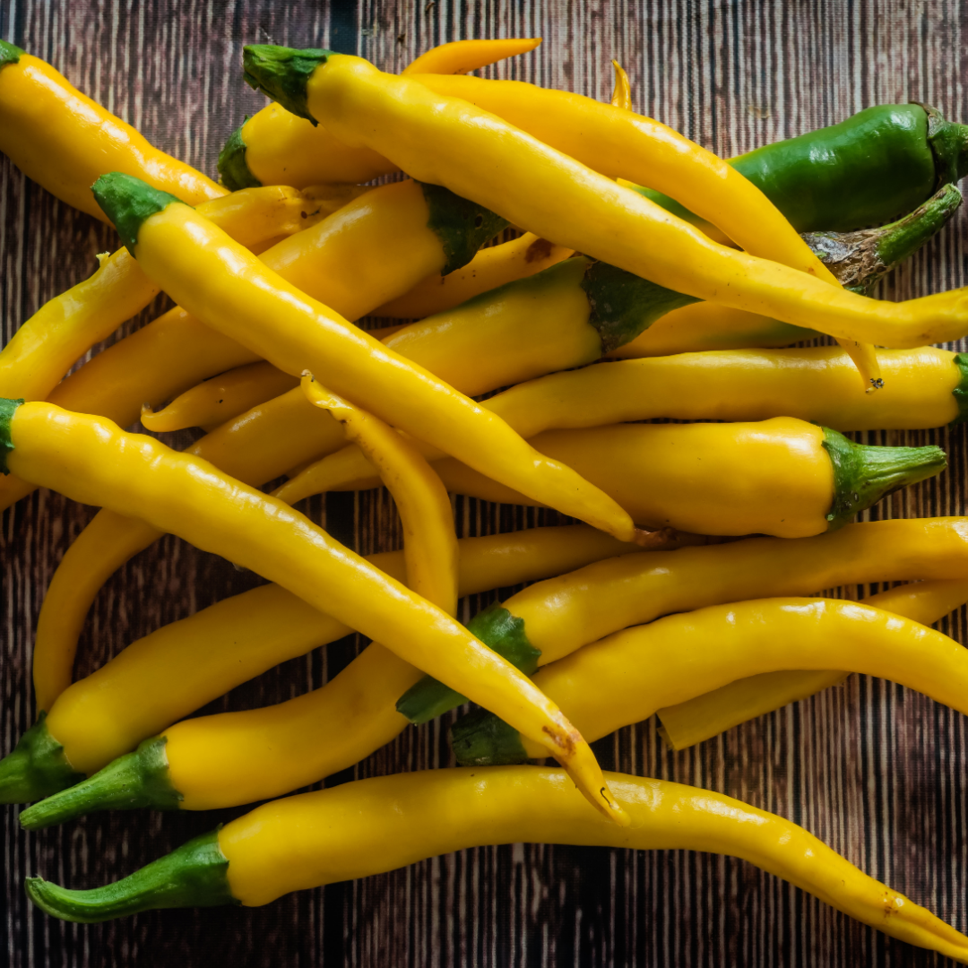 Ekologisk Chili - Gelbes Rüsselchen