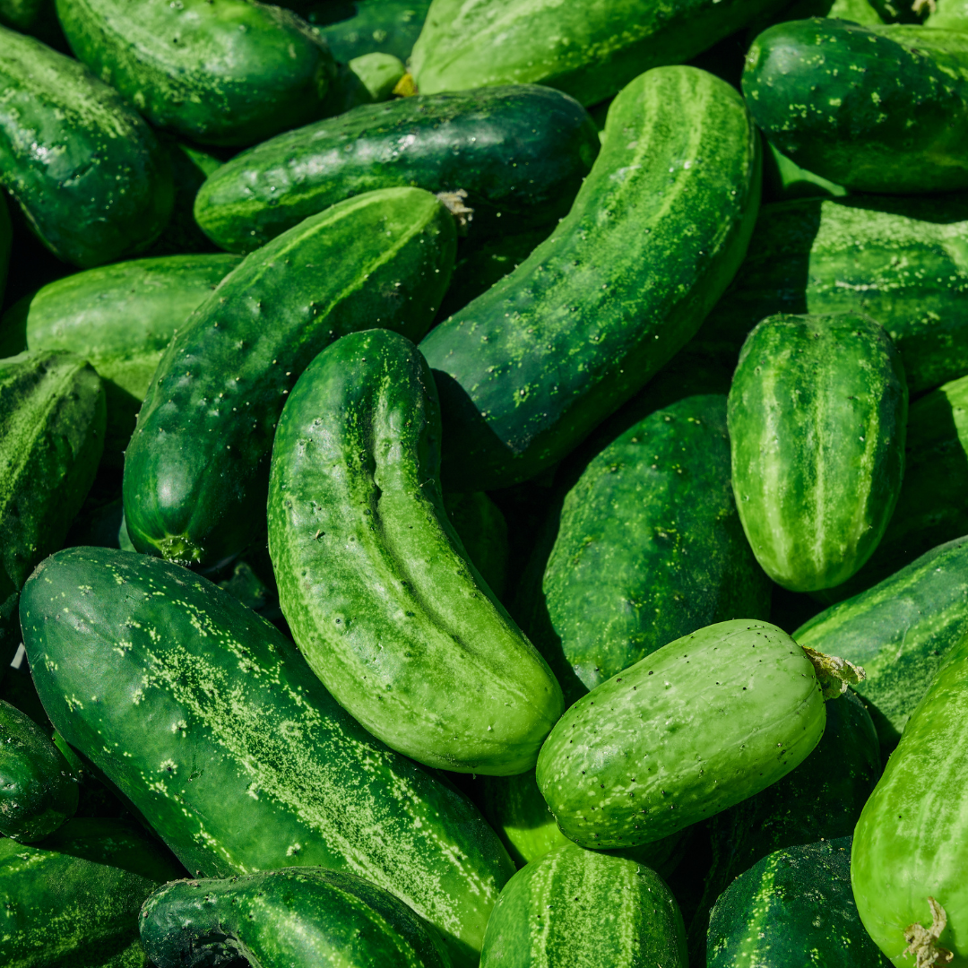 Slanggurka - Levina F1