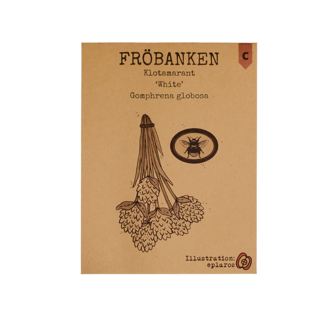 Klotamarant - White - 2