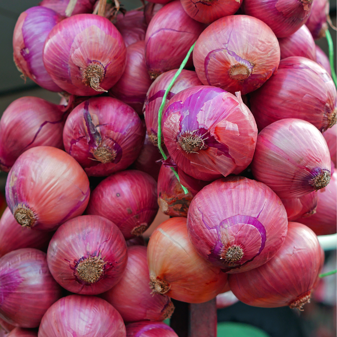 Rödlök - Red Creole